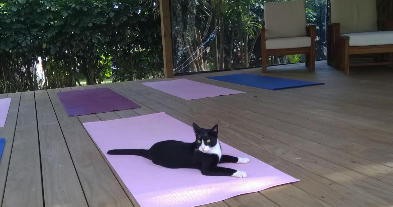 Ikurangi Eco Retreat Otel Rarotonga Dış mekan fotoğraf