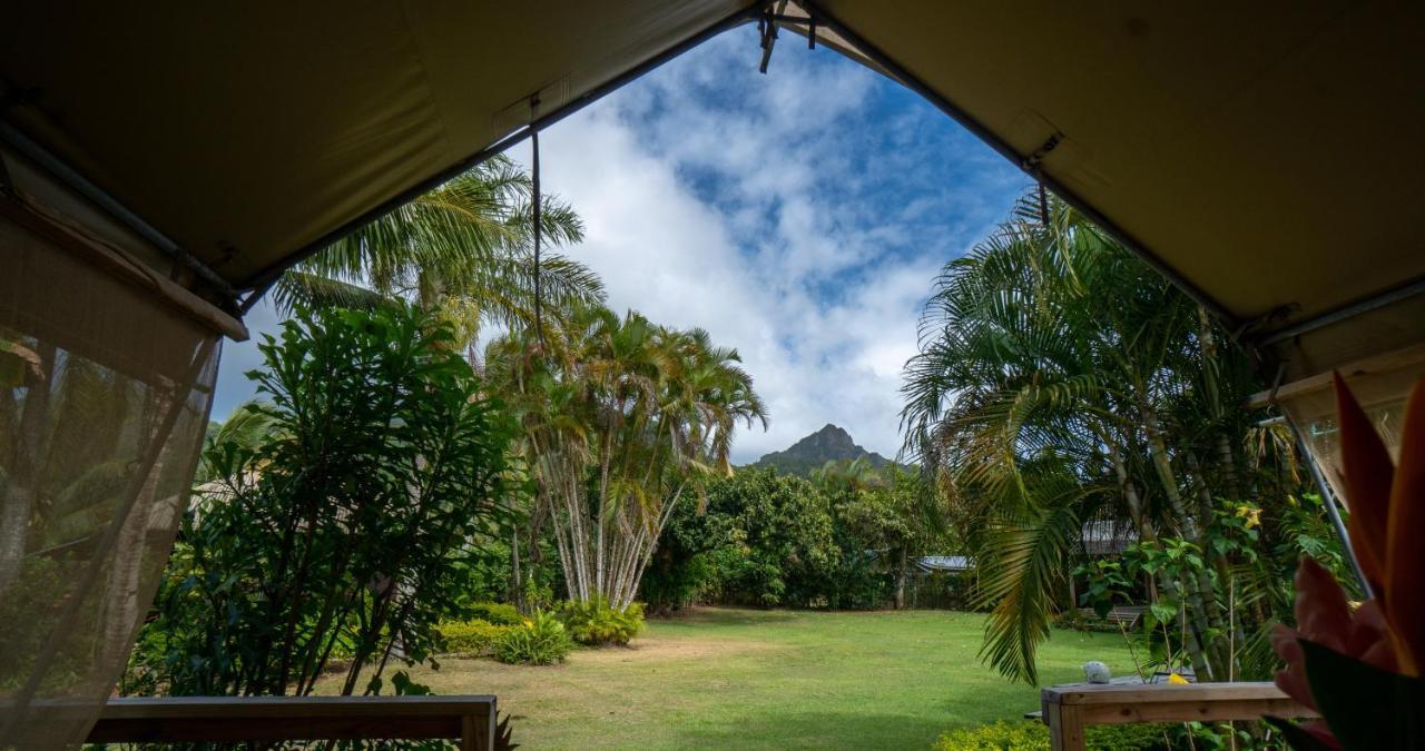 Ikurangi Eco Retreat Otel Rarotonga Dış mekan fotoğraf